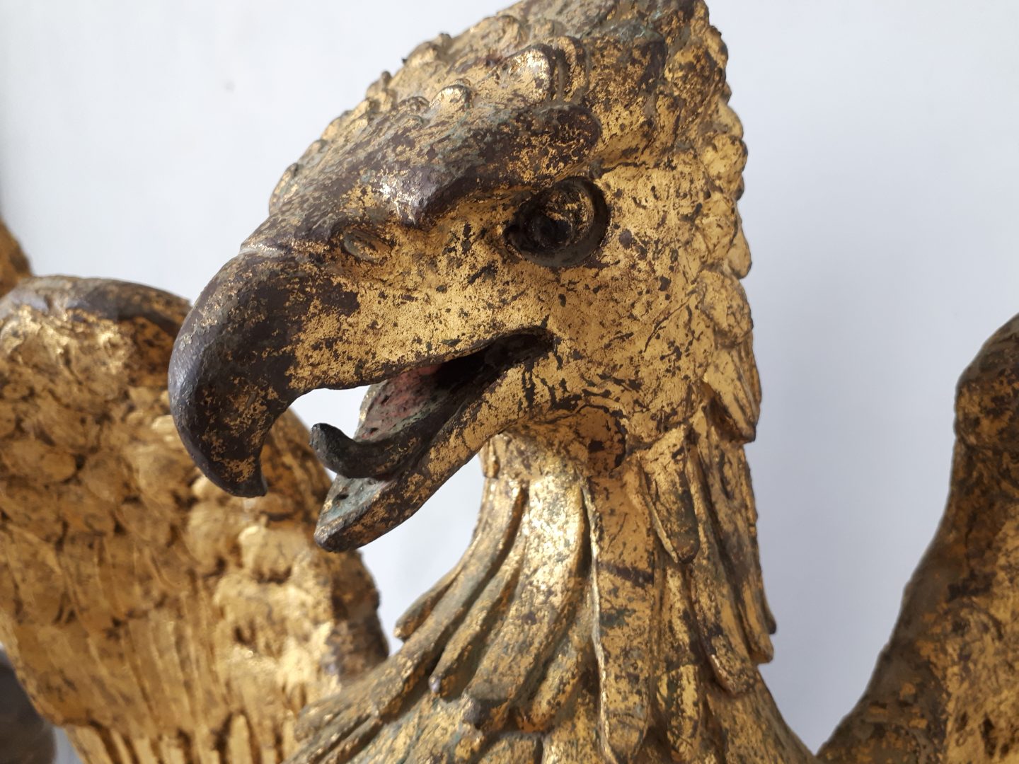 dettaglio della testa dell'aquila in bronzo dorato dopo la pulitura laser - details of the eagle's head after laser cleaning
